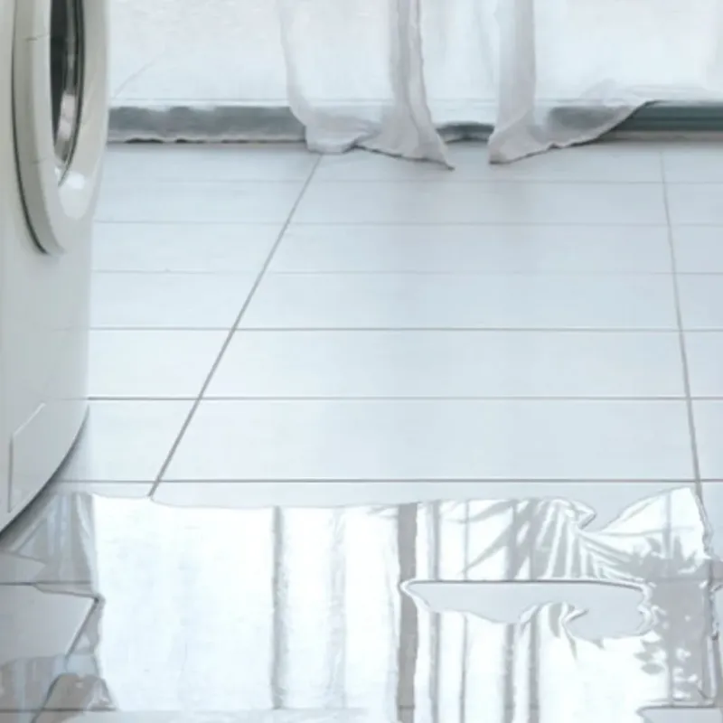 Appliance Leak Cleanup in Pike County, MO