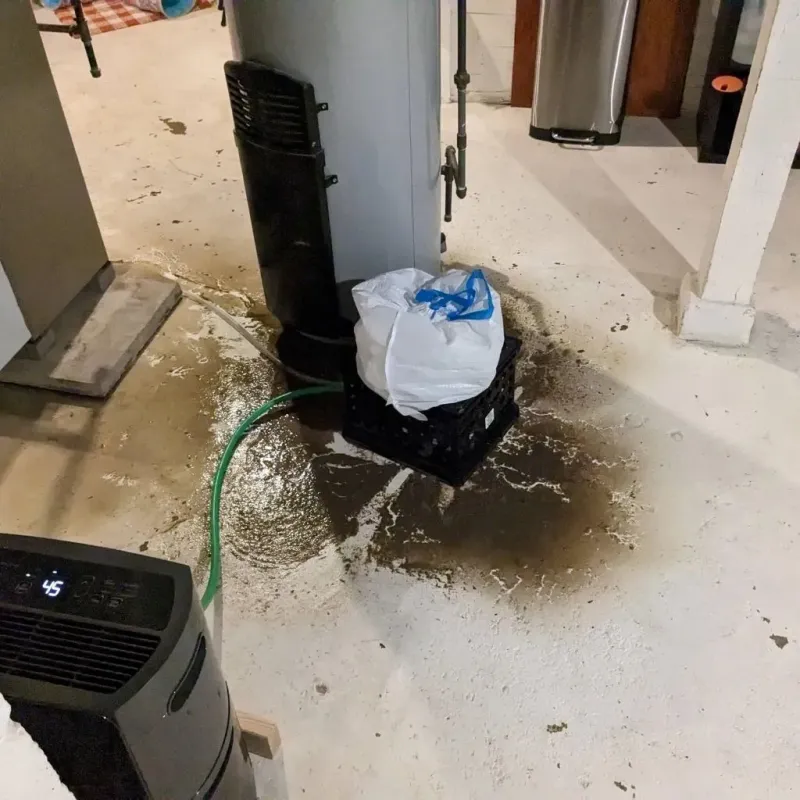 Sewage Backup Cleanup Service in Pike County, MO